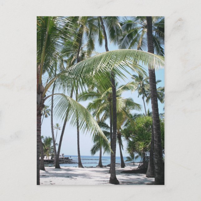 Hawaiian Paradise Postcard Postkarte (Vorderseite)