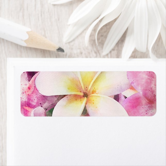 Hawaiian Plumeria Tropical Floral Water color (Insitu)