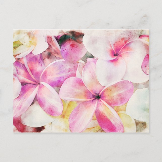 Hawaiian Plumeria Tropical Floral Water color Postkarte (Vorderseite)