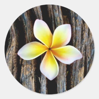 Hawaiian Plumeria Wedding Invitation Stickers