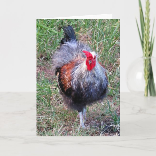 Hawaiian Rooster Karte (Vorderseite)