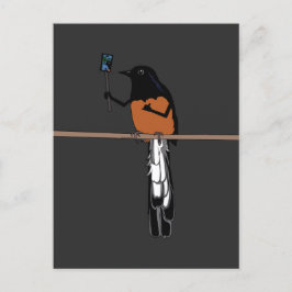 Hawaiian Shama Bird Selfie Postkarte