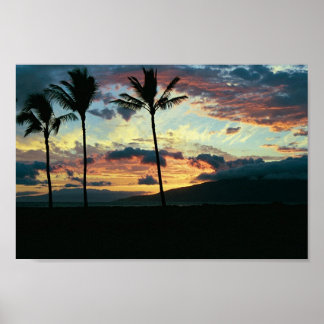 Hawaiian Sunset Poster