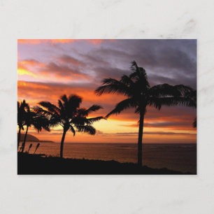 Hawaiian Sunset Postkarte