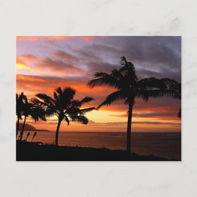 Hawaiian Sunset Postkarte (Vorderseite)