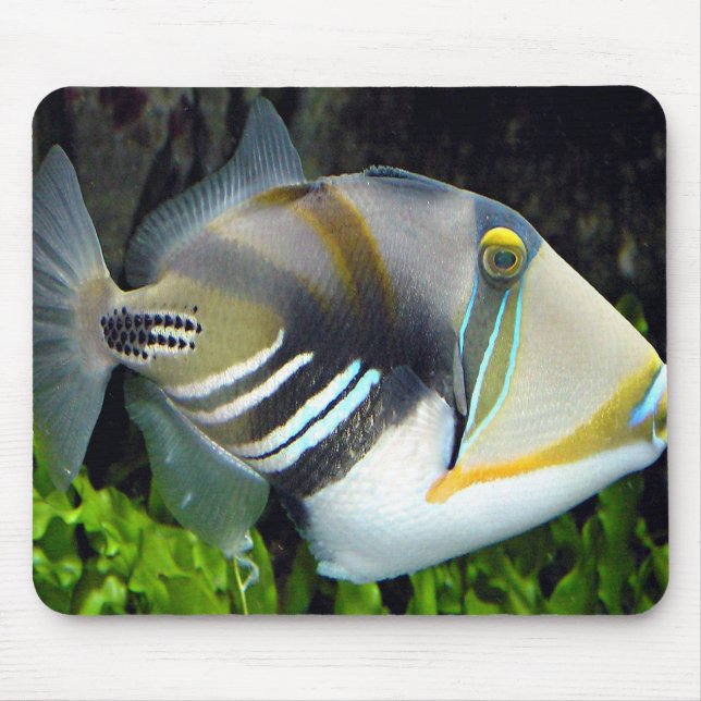 Hawaiian Tropical Fish Mousepad (Vorne)