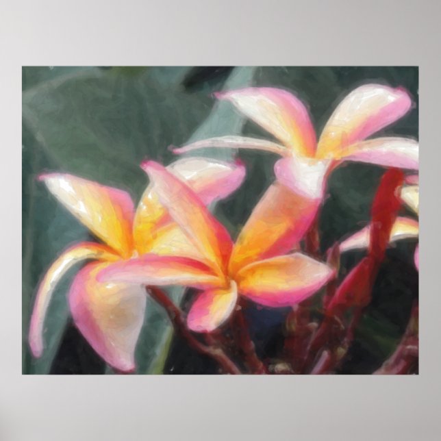 Hawaiian Tropical Plumeria Poster (Vorne)