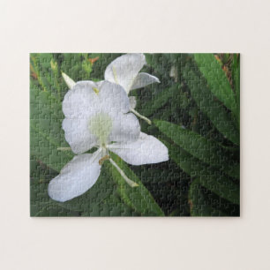 Hawaiian White Ginger Blume Puzzle
