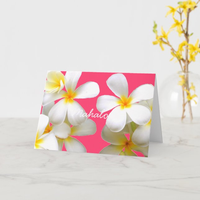 Hawaiian white plumeria greeting card pink karte (Gelbe Blume)