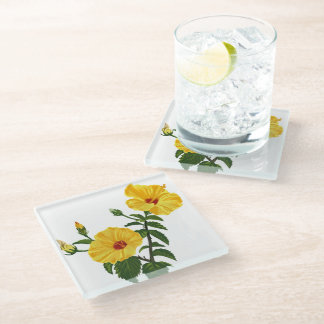 Hawaiian yellow hibiscus Botanical illustration Glasuntersetzer