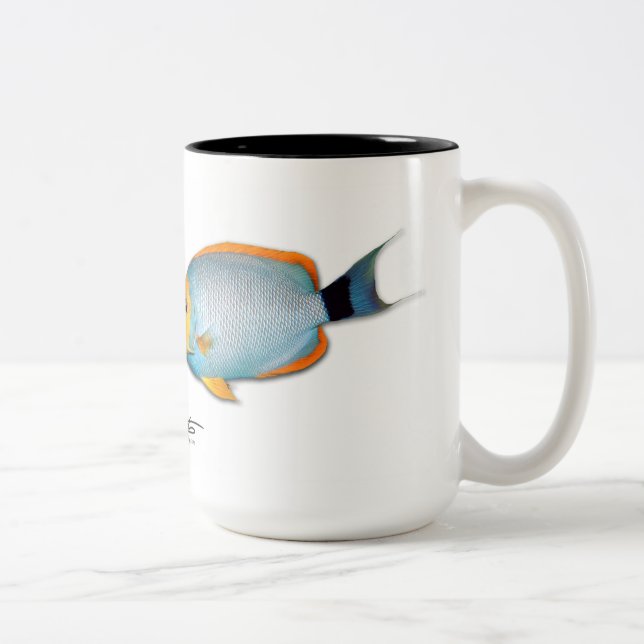 Hawaiianer verdeckter Angelfish, Genicanthus Zweifarbige Tasse (Rechts)