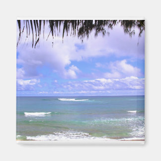 Hawaiianisch Magnet