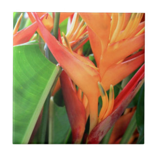 Hawaiianische Blume Keramik Hibiskus Fliese