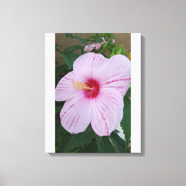 Hawaiianische Blume Leinwanddruck (Vorderseite)