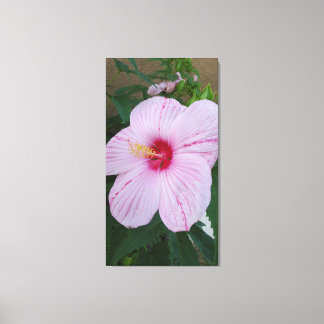 Hawaiianische Blume Leinwanddruck