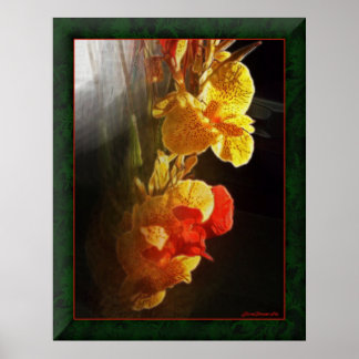 Hawaiianische Blume Poster