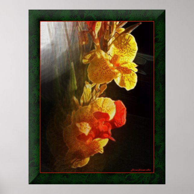 Hawaiianische Blume Poster (Vorne)