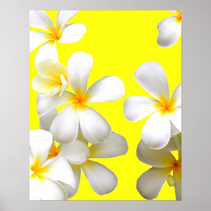 Hawaiianische Blume Poster