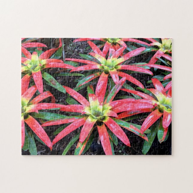 Hawaiianische Blume Puzzle (Horizontal)