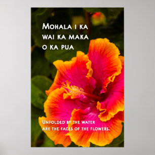 Hawaiianische Fuchsie und Orangen Hibiskus Motivie Poster