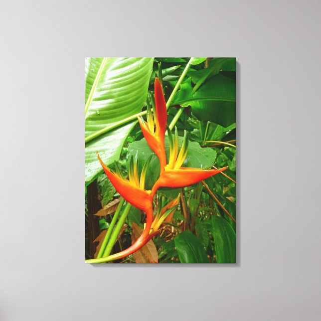 Hawaiianische Heliconia Leinwanddruck (Vorderseite)