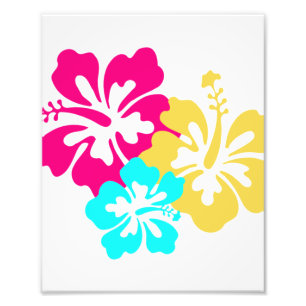 Hawaiianische Hibiskusblüten Fotodruck
