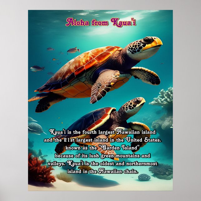 Hawaiianische Inseln Kauai Aloha Poster (Vorne)