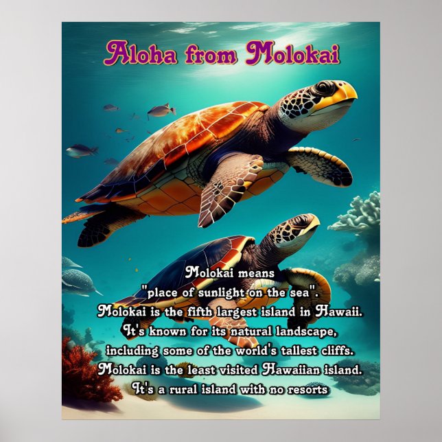 Hawaiianische Inseln Molokai Aloha Poster (Vorne)