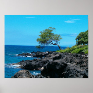 Hawaiianische Küste Poster