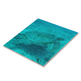 Hawaiianische Meeresschildkröte Fliese