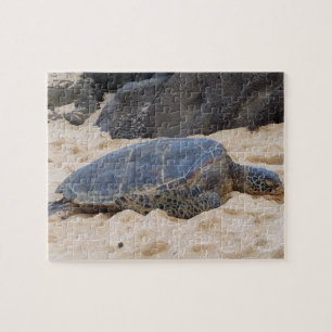 Hawaiianische Meeresschildkröte Puzzle