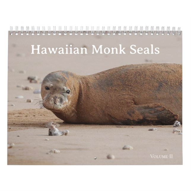 Hawaiianische Mönch-Siegel Kalender (Titelbild)