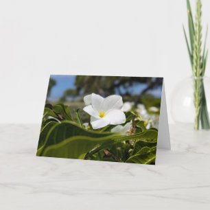 Hawaiianische Naturlandschaftsfotografie Dankeskarte