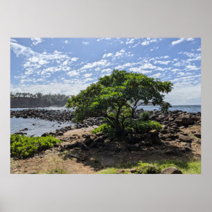 Hawaiianische Naturlandschaftsfotografie Poster