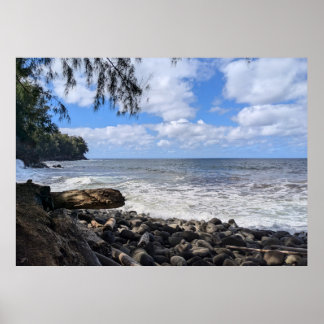 Hawaiianische Naturlandschaftsfotografie Poster