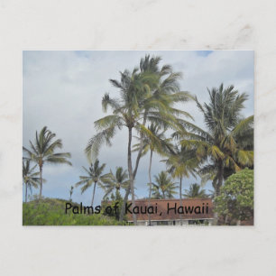 Hawaiianische Palmen Postkarte
