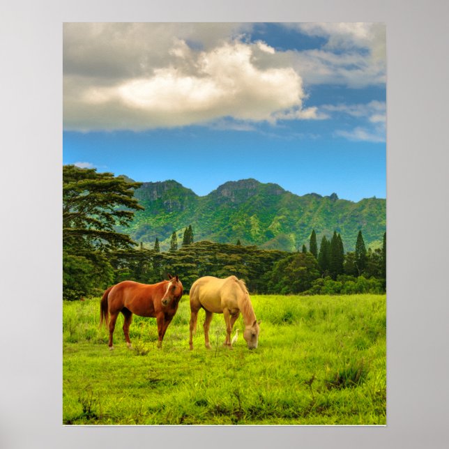 Hawaiianische Pferde, Hokulei Peak, Kauai, Vertika Poster (Vorne)