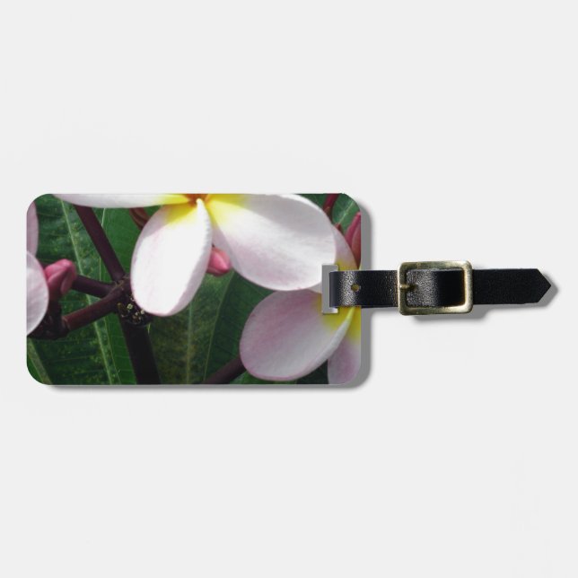 Hawaiianische Plumeria Blume Gepäckanhänger (Vorderseite horizontal)