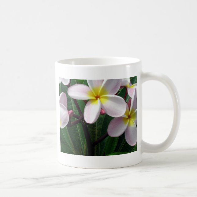 Hawaiianische Plumeria Blume Kaffeetasse (Rechts)