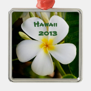 Hawaiianische Plumeria-Blumen-Andenken Ornament Aus Metall