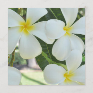 Hawaiianische Plumeria Hochzeitseinladung Einladung