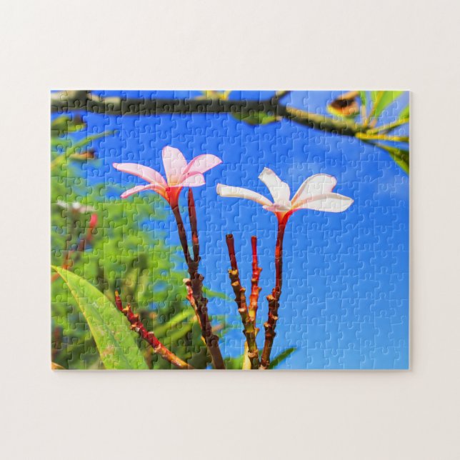 Hawaiianische Plumeria Puzzle (Horizontal)