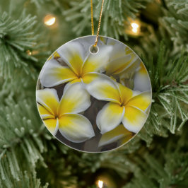 Hawaiianische Plumerie Weiche Blütenblätter Keramik Ornament