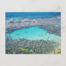 Hawaiianische Postkarte