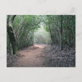 Hawaiianische Postkarte