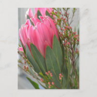 Hawaiianische Protea-Blume