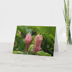 Hawaiianische rosa Ingwerblüten-Foto Dankeskarte