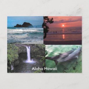 Hawaiianische Sammlung Postkarte