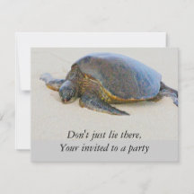 Hawaiianische Schildkröte