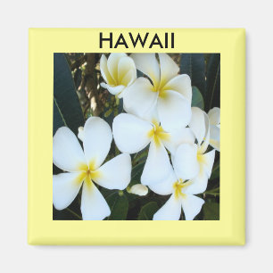 Hawaiianische tropische Blume Magnet